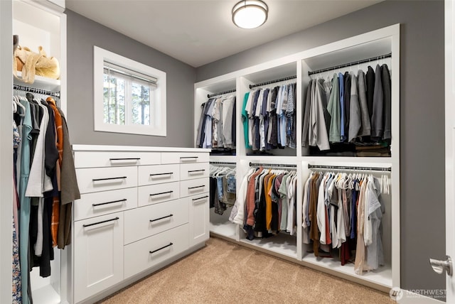 walk in closet with light carpet