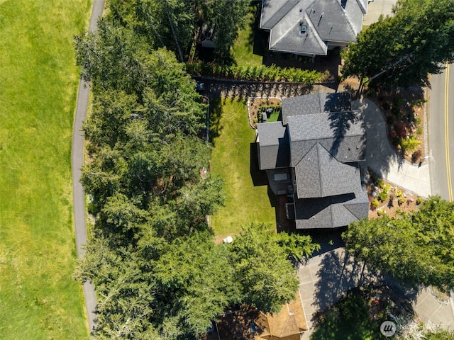 bird's eye view