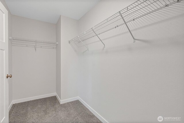 9136 126th Street Ct E, Puyallup, WA 98373 - photo 30