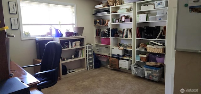 home office with carpet floors