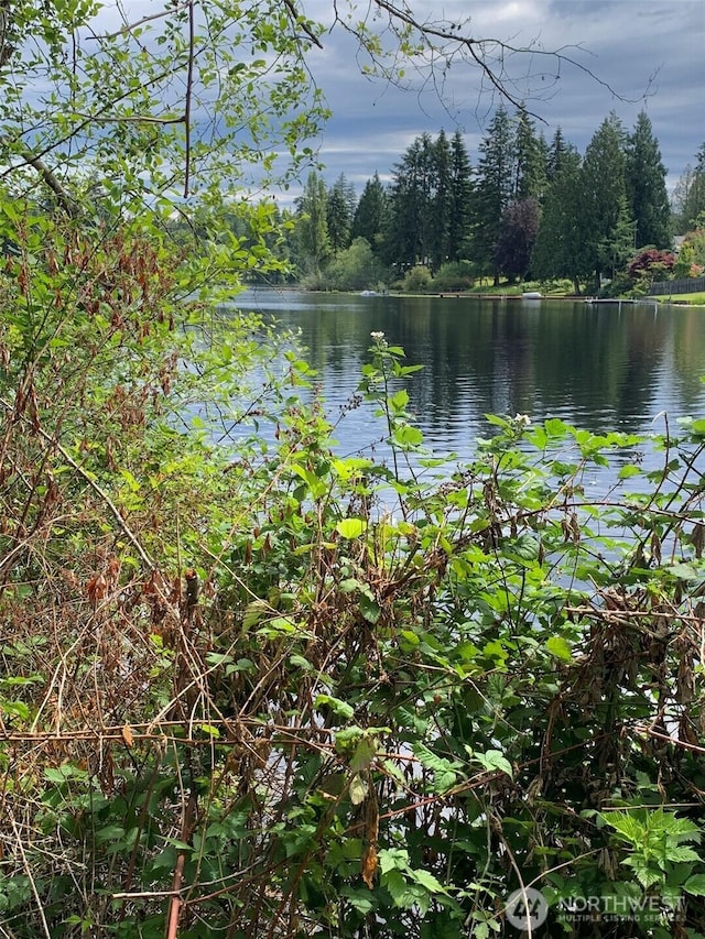 0 84th Dr NW, Stanwood, WA 98292 - photo 1