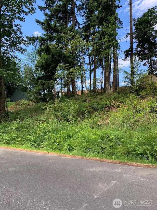 0 84th Dr NW, Stanwood, WA 98292 - photo 2