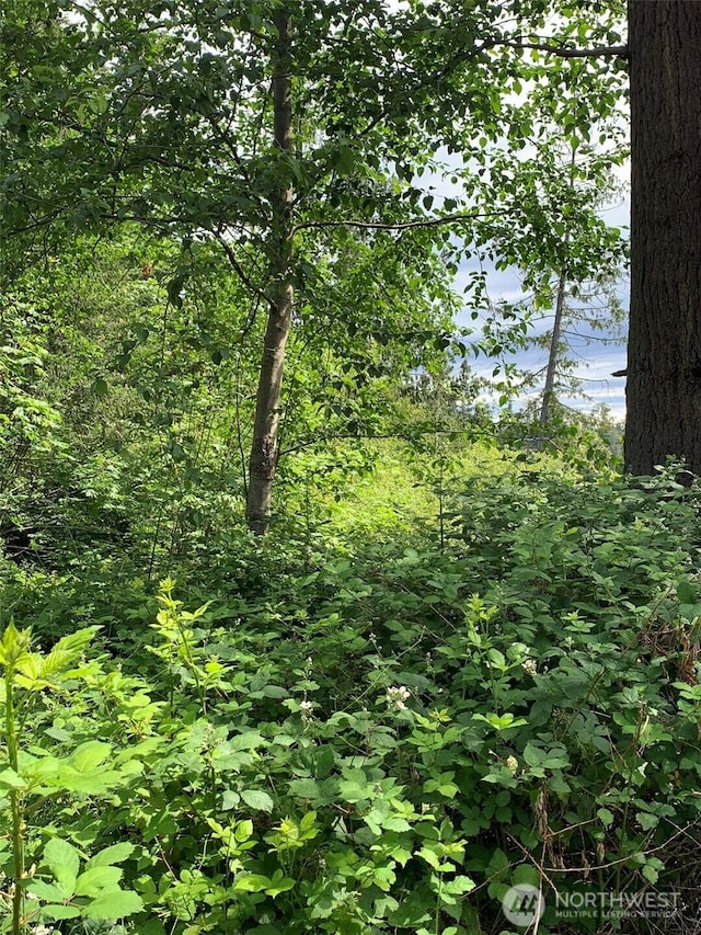 0 84th Dr NW, Stanwood, WA 98292 - photo 4