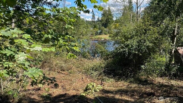 0 84th Dr NW, Stanwood, WA 98292 - photo 5