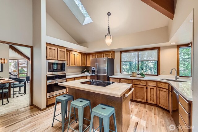 kitchen with appliances with stainless steel finishes, a sink, butcher block countertops, a skylight, and light wood-style floors