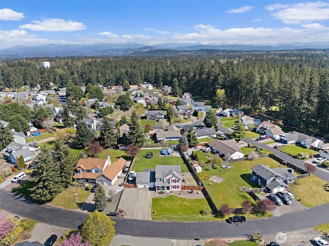 19411 107th Avenue Ct E, Graham, WA 98338 - photo 35