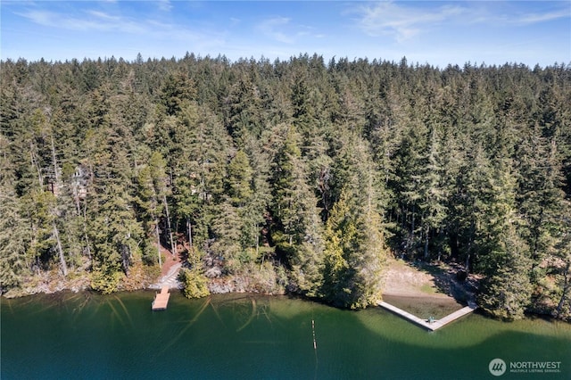 drone / aerial view with a water view and a wooded view