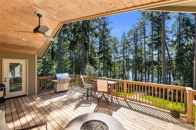 11406 97th Street Ct, Anderson Island, WA 98303 - photo 10