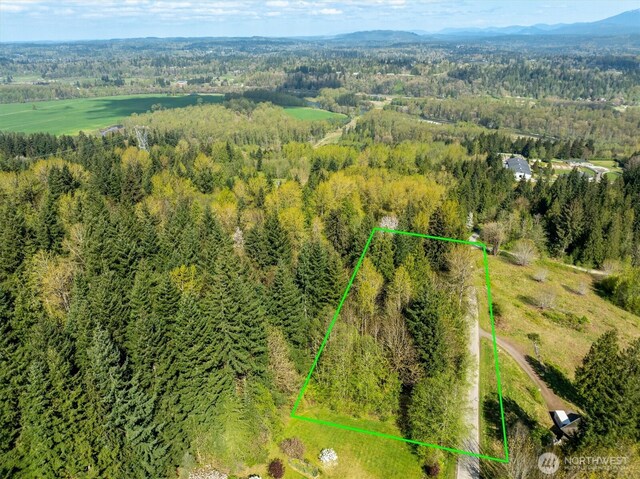 17512 260th Ave SE, Monroe, WA 98272 - photo 3