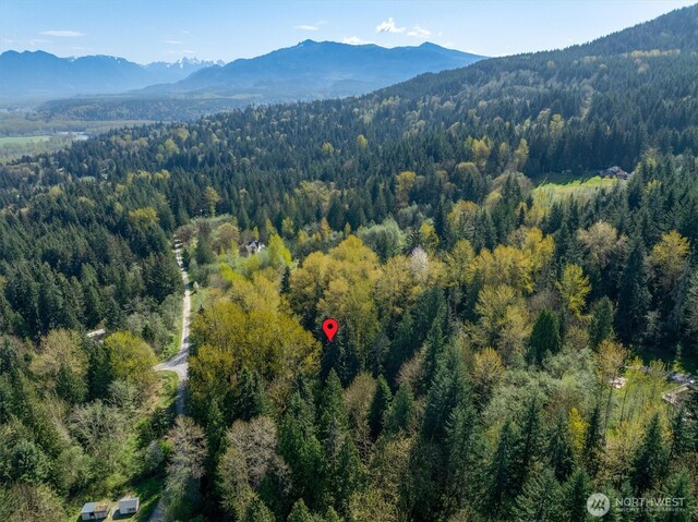 17512 260th Ave SE, Monroe, WA 98272 - photo 6