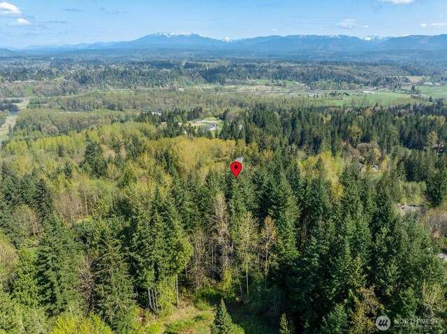 17512 260th Ave SE, Monroe, WA 98272 - photo 8