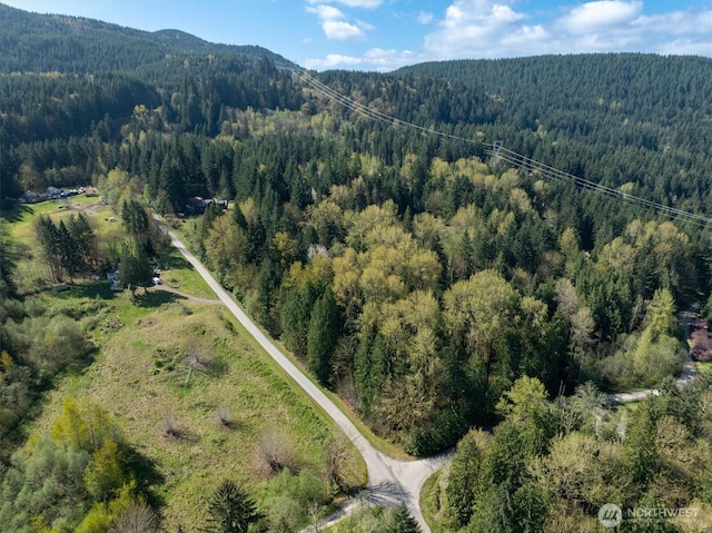 17512 260th Ave SE, Monroe, WA 98272 - photo 9
