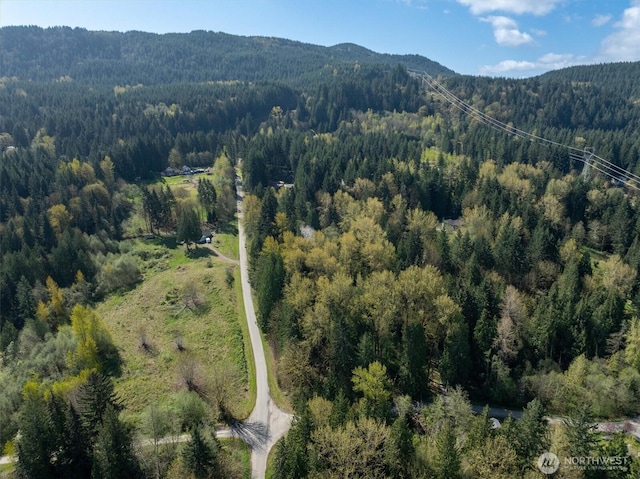 17512 260th Ave SE, Monroe, WA 98272 - photo 10