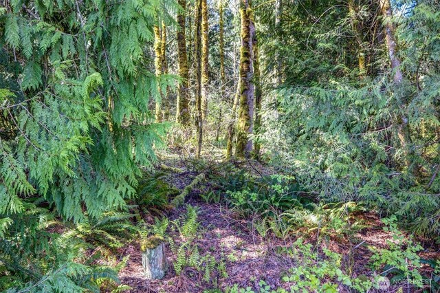 17512 260th Ave SE, Monroe, WA 98272 - photo 13