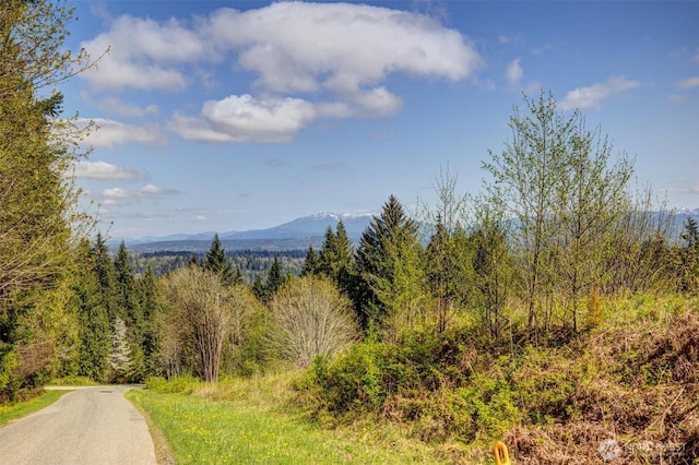 17512 260th Ave SE, Monroe, WA 98272 - photo 15