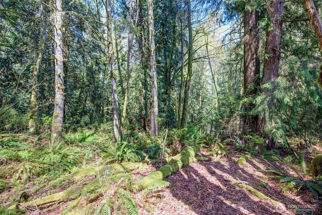 17512 260th Ave SE, Monroe, WA 98272 - photo 18