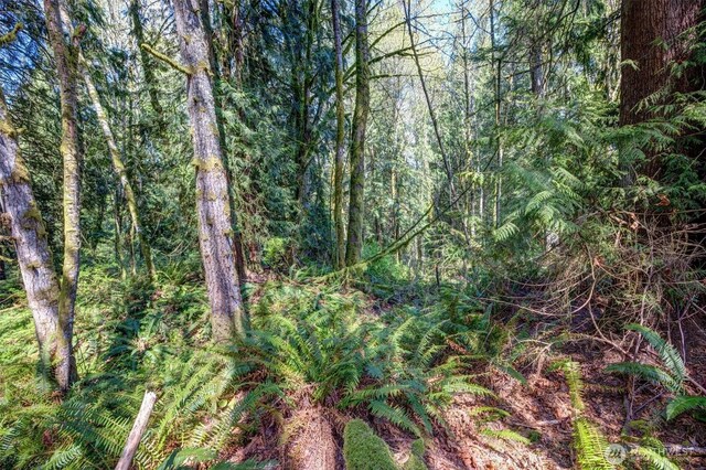 17512 260th Ave SE, Monroe, WA 98272 - photo 19