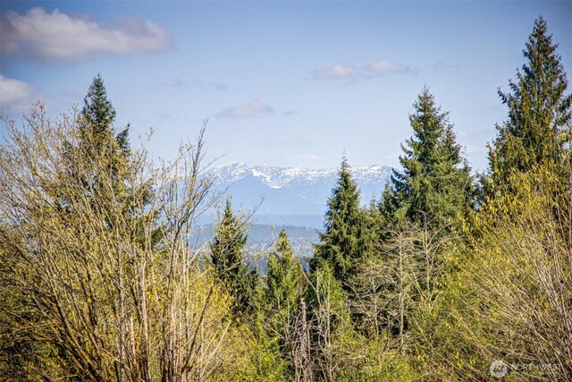 17512 260th Ave SE, Monroe, WA 98272 - photo 21