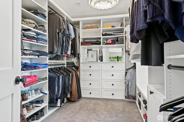 walk in closet with light carpet