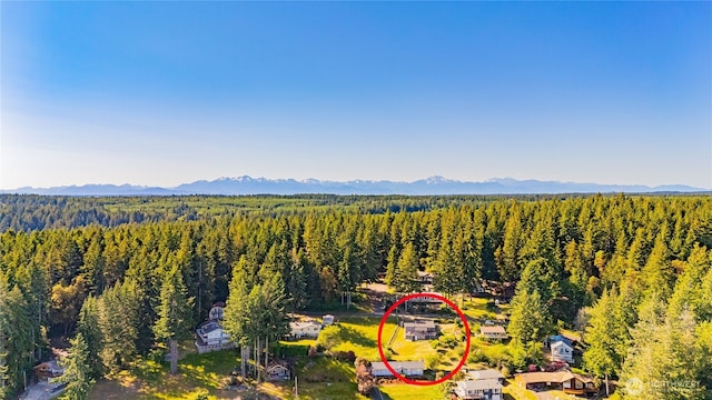71 E Mountain Dr, Grapeview, WA 98546 - bird's eye view of mountains and a heavily wooded area