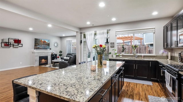 kitchen with stainless steel appliances, wood finished floors, a sink, and recessed lighting