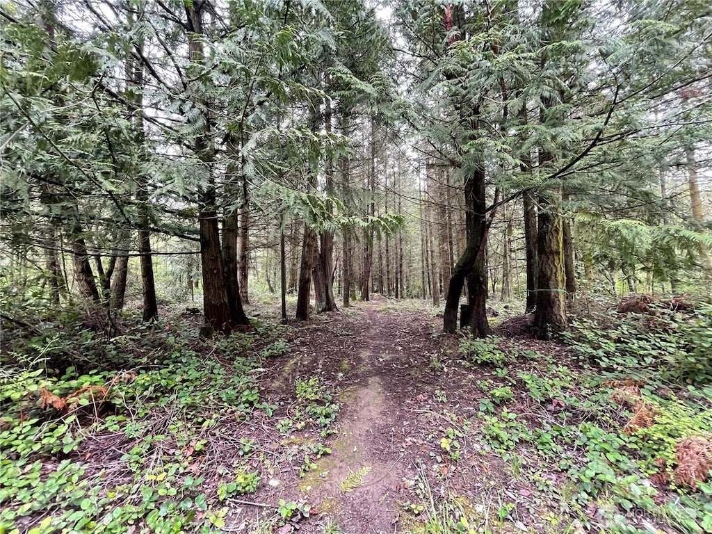 2900 Cliff St, Port Townsend, WA 98368