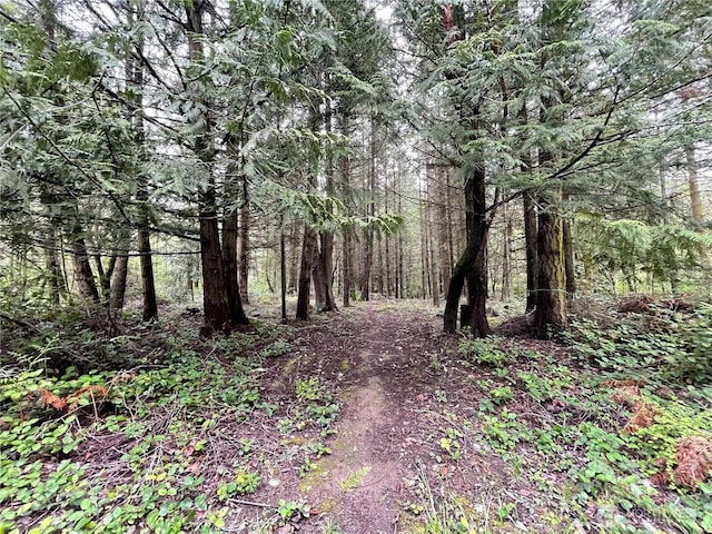 2900 Cliff St, Port Townsend, WA 98368