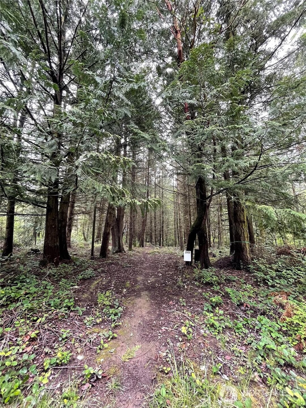 2900 Cliff St, Port Townsend, WA 98368