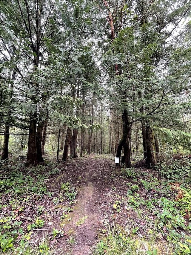 2900 Cliff St, Port Townsend, WA 98368