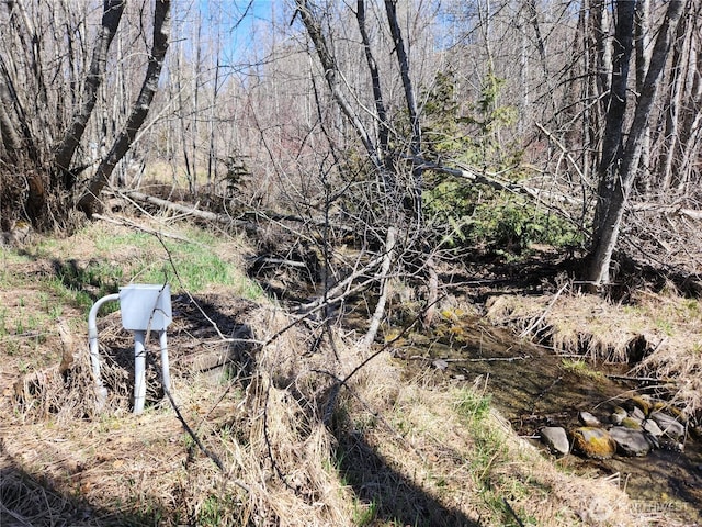 view of local wilderness