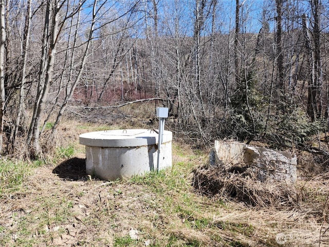 view of yard featuring a view of trees