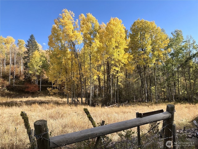 view of nature with a wooded view