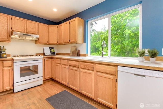 25171 13th Ave S, Des Moines, WA 98198 - kitchen with white appliances, under cabinet range hood, light brown cabinetry, a sink, and light wood-style floors