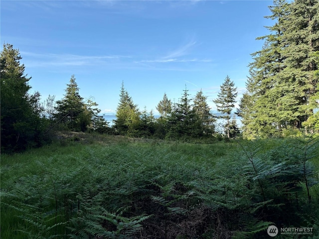 0 Raccoon Point Rd Lot 19, Orcas Island, WA 98245
