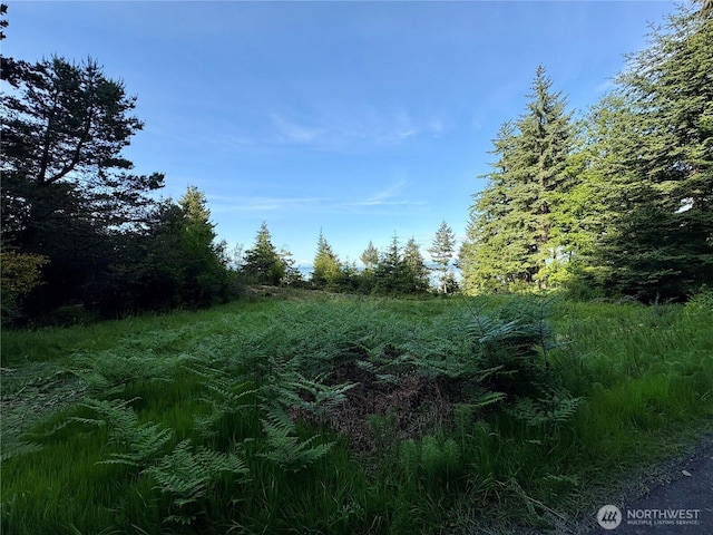 0 Raccoon Point Rd Lot 19, Orcas Island, WA 98245
