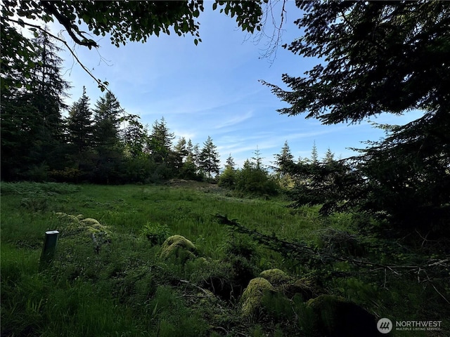 0 Raccoon Point Rd Lot 19, Orcas Island, WA 98245