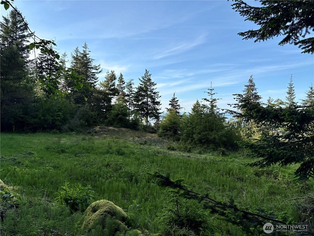 0 Raccoon Point Rd Lot 19, Orcas Island, WA 98245
