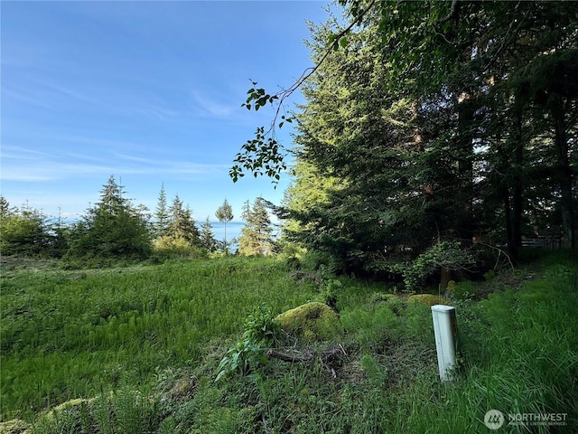 0 Raccoon Point Rd Lot 19, Orcas Island, WA 98245