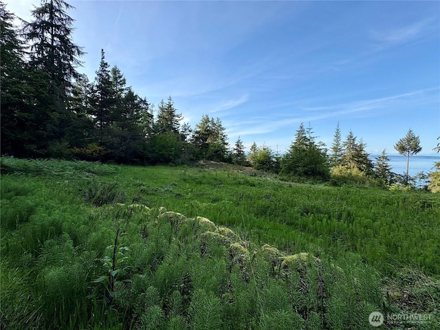 0 Raccoon Point Rd Lot 19, Orcas Island, WA 98245