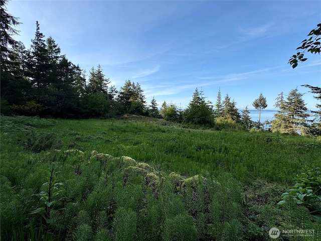 0 Raccoon Point Rd Lot 19, Orcas Island, WA 98245
