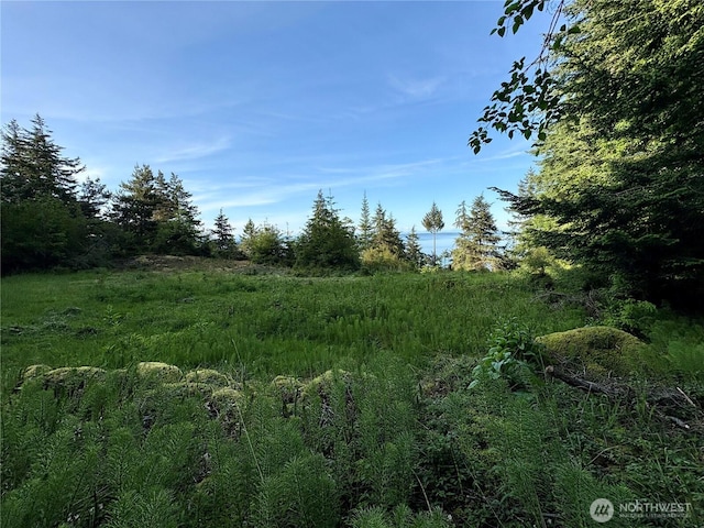 0 Raccoon Point Rd Lot 19, Orcas Island, WA 98245