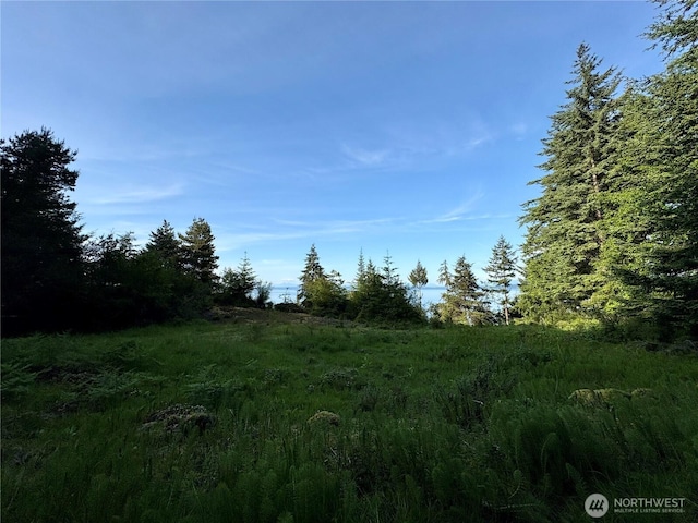 0 Raccoon Point Rd Lot 19, Orcas Island, WA 98245