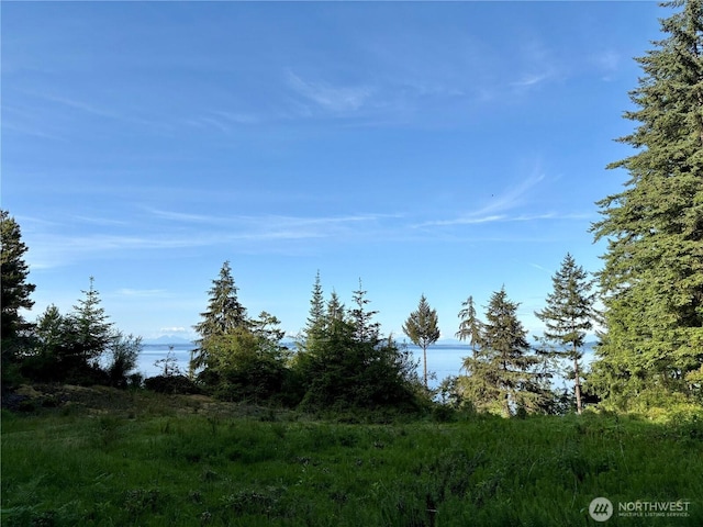 0 Raccoon Point Rd Lot 19, Orcas Island, WA 98245