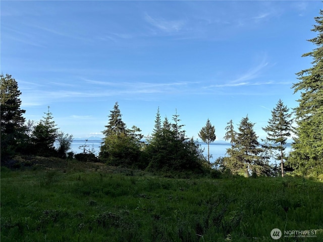 0 Raccoon Point Rd Lot 19, Orcas Island, WA 98245