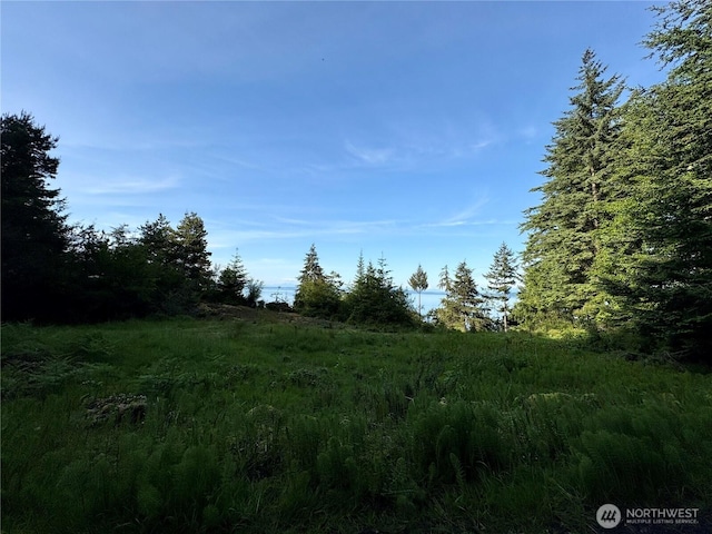 0 Raccoon Point Rd Lot 19, Orcas Island, WA 98245