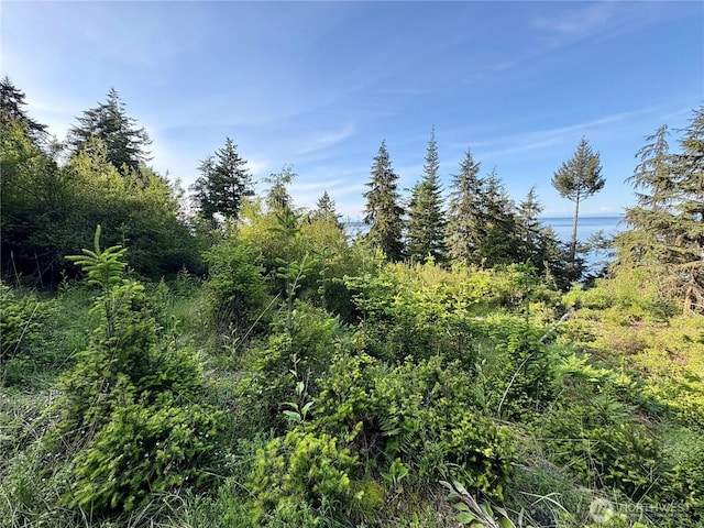0 Raccoon Point Rd Lot 19, Orcas Island, WA 98245