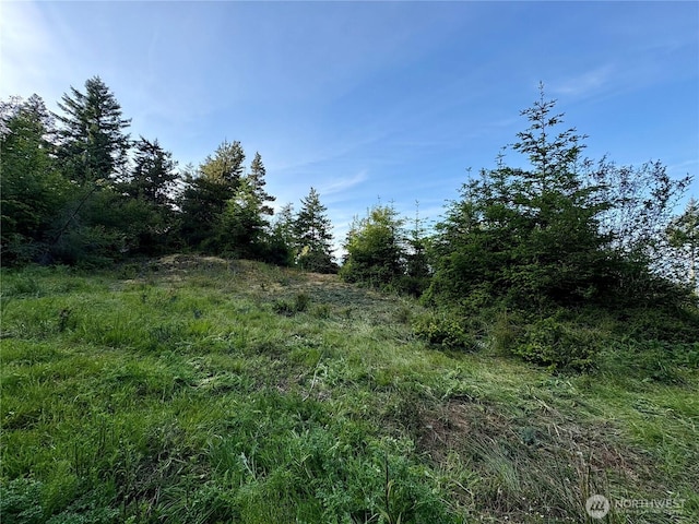 0 Raccoon Point Rd Lot 19, Orcas Island, WA 98245