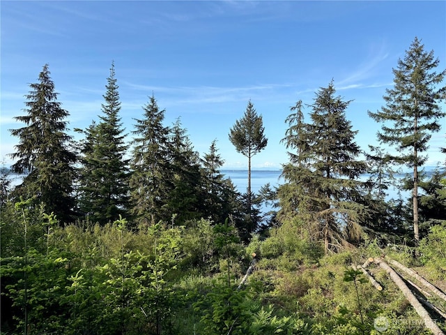 0 Raccoon Point Rd Lot 19, Orcas Island, WA 98245