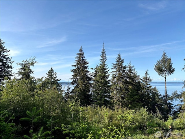 0 Raccoon Point Rd Lot 19, Orcas Island, WA 98245