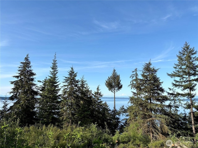 0 Raccoon Point Rd Lot 19, Orcas Island, WA 98245